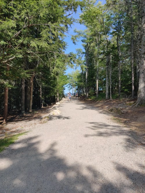 A gravel path winds through a forest, with trees lining both sides and a clear blue sky above.
