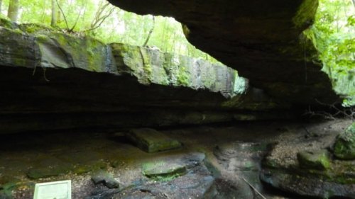 A moss-covered rock formation with a large overhang in a lush green forest.