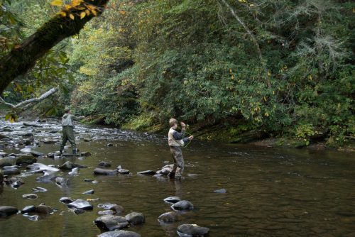 Two anglers fishing in a rocky stream surrounded by lush greenery and trees.