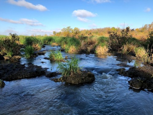 A serene stream flows through lush greenery and rocky patches under a blue sky with scattered clouds.