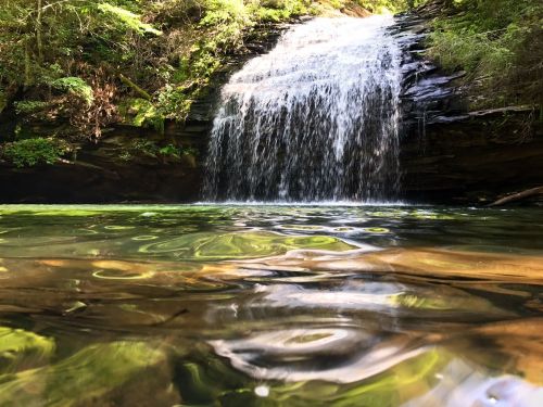 A serene waterfall cascades into a clear pool, surrounded by lush greenery and rocky terrain.