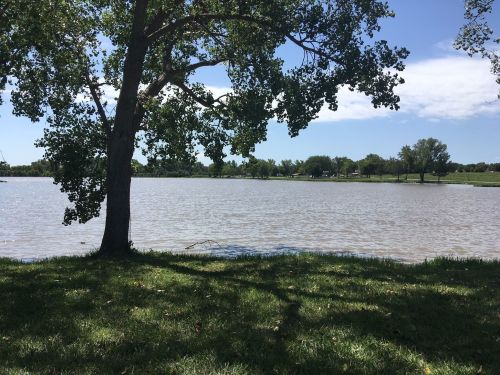 A serene lake view with a tree in the foreground and green grass, under a clear blue sky with scattered clouds.