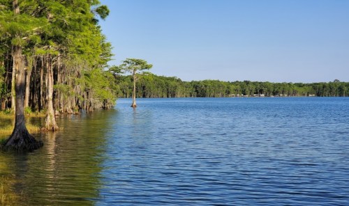 A serene lake surrounded by lush green trees under a clear blue sky.