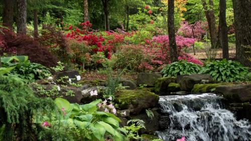 A serene garden scene featuring a small waterfall surrounded by vibrant flowers and lush greenery.