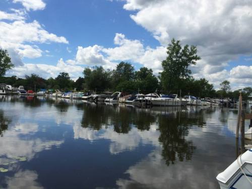 A serene marina with boats docked, reflecting clouds and trees in calm water under a blue sky.