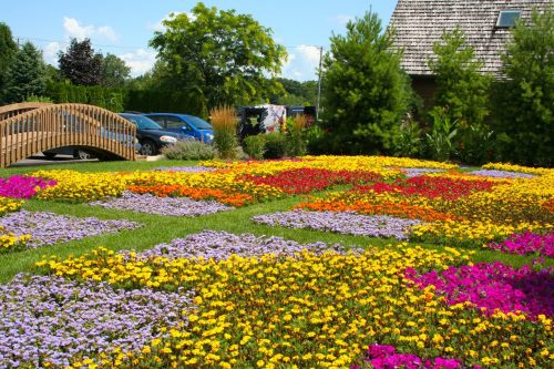 A vibrant garden filled with colorful flowers in various shades, with a wooden bridge and greenery in the background.
