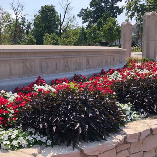 A stone sign reading "Indiana University" surrounded by colorful flower beds on a sunny day.