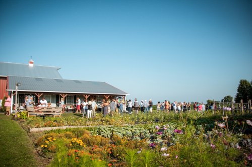 A crowd gathers outside a rustic building surrounded by colorful gardens under a clear blue sky.