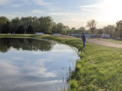 A person stands by a pond, reflecting on the water, with RVs parked in the background under a clear sky.