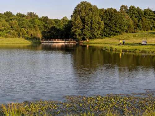 A serene pond surrounded by lush greenery, with a small bridge and two people fishing nearby.
