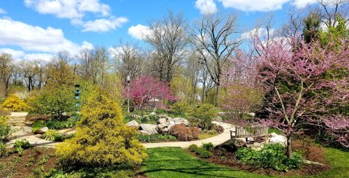 A vibrant garden scene with blooming pink trees, lush greenery, and a winding path under a blue sky with fluffy clouds.
