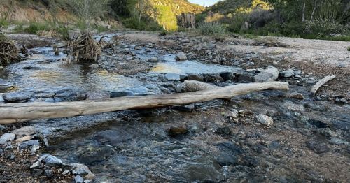 A serene river scene with a wooden log across the water, surrounded by rocks and greenery in a natural landscape.