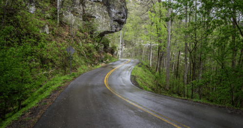 A winding road surrounded by lush green trees and rocky cliffs, reflecting a serene, natural landscape.