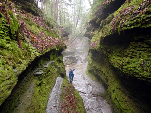A person stands in a narrow, moss-covered canyon with a stream running through it, surrounded by lush greenery.