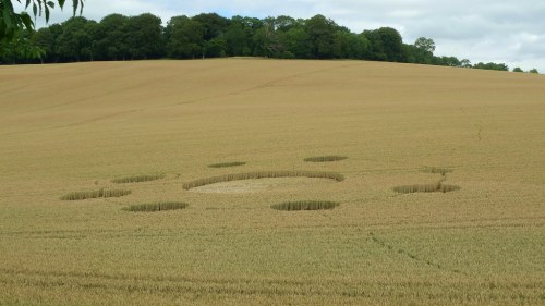 A field with circular patterns cut into the wheat, surrounded by green trees in the background under a cloudy sky.