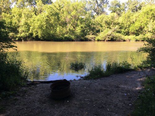 A serene riverbank scene with lush green trees reflecting in the calm water under a clear blue sky.
