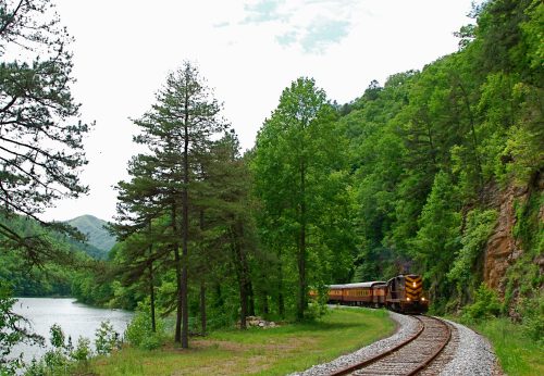 A train winds along a scenic riverbank, surrounded by lush green trees and hills under a partly cloudy sky.