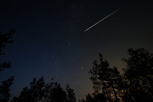 A night sky filled with stars, featuring a bright meteor streaking across the dark expanse above silhouetted trees.