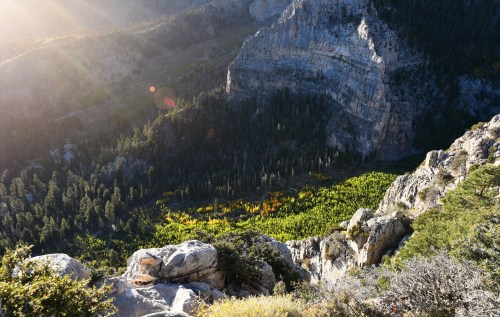 A scenic view of a rocky landscape with a valley of green trees and sunlight illuminating the mountainside.