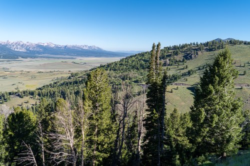 A scenic view of a lush valley surrounded by mountains, with tall trees in the foreground and a clear blue sky.