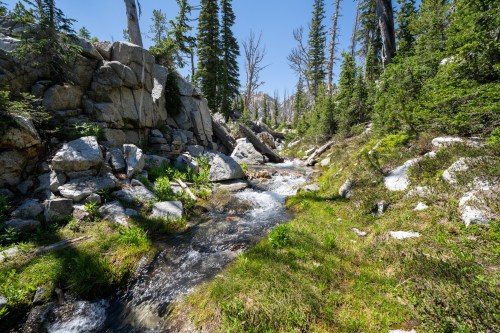 A serene mountain stream flows through rocky terrain, surrounded by lush greenery and tall trees under a clear blue sky.