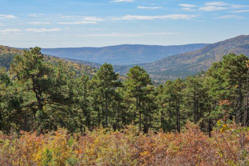 A scenic view of rolling hills and valleys, surrounded by lush green trees and autumn foliage under a clear blue sky.