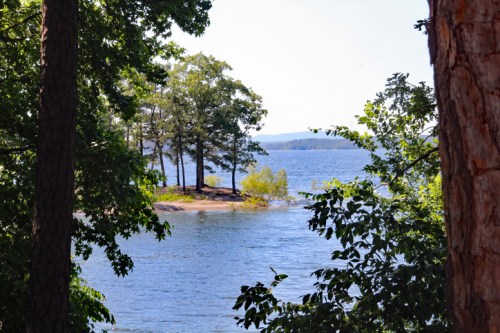 A serene view of a small island surrounded by water, framed by trees on a sunny day.