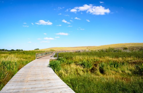 A wooden boardwalk winds through lush green grass under a bright blue sky with a few clouds.
