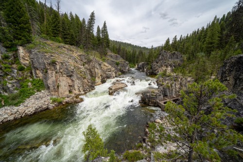 A rushing river flows through rocky terrain, surrounded by lush green trees and a cloudy sky.