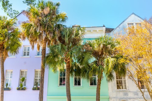 Colorful buildings with palm trees in the foreground under a clear blue sky.