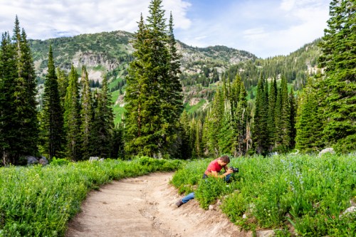 A person crouches in a lush green meadow, photographing wildflowers with mountains in the background.