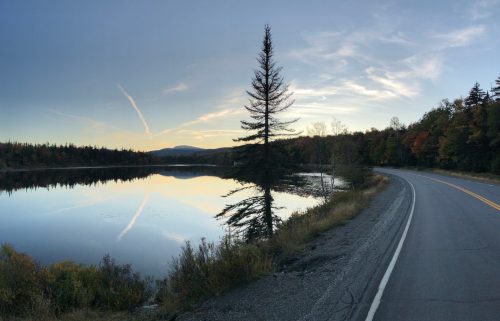 A serene lake reflects a tall tree and colorful autumn foliage, with a winding road alongside under a clear sky.
