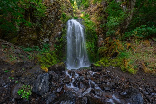 A serene waterfall cascades over moss-covered rocks, surrounded by lush greenery in a tranquil forest setting.