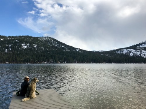 A person and a dog sit on a dock, gazing at a serene lake surrounded by mountains and trees under a cloudy sky.