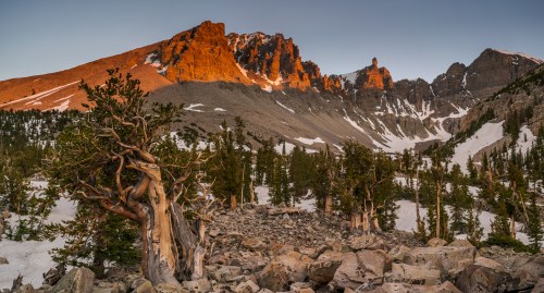 A rugged mountain landscape at sunset, featuring rocky terrain, ancient trees, and snow-capped peaks.