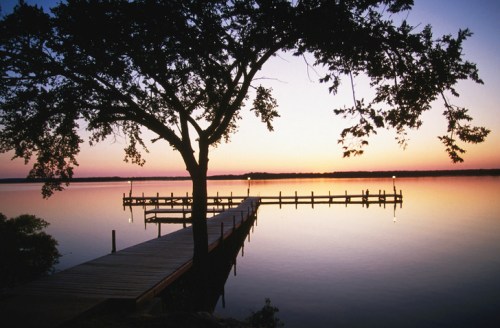 Silhouette of a tree by a calm lake at sunset, with a wooden pier extending into the water.