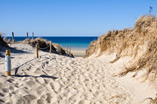 A sandy path leads through dunes to a calm blue ocean under a clear sky.