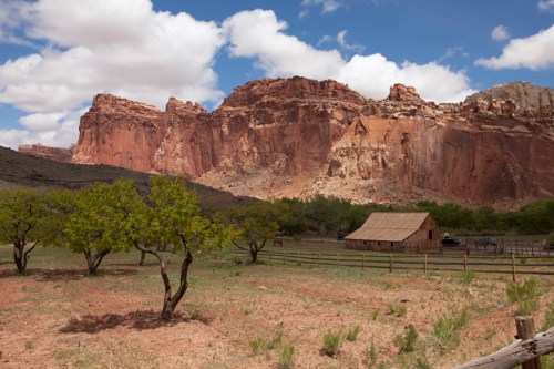 A rustic barn sits in a grassy field, surrounded by trees and framed by towering red rock cliffs under a blue sky.
