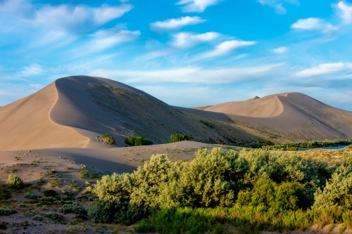 A serene landscape featuring rolling sand dunes under a blue sky, with green vegetation in the foreground.