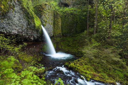 A serene waterfall cascades over moss-covered rocks into a lush, green forest stream.