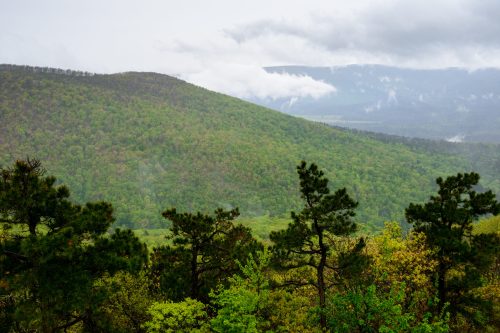 Lush green mountains under a cloudy sky, with trees in the foreground and mist rising in the distance.