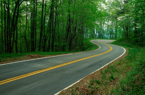 A winding road through a lush green forest, surrounded by trees and dappled sunlight.