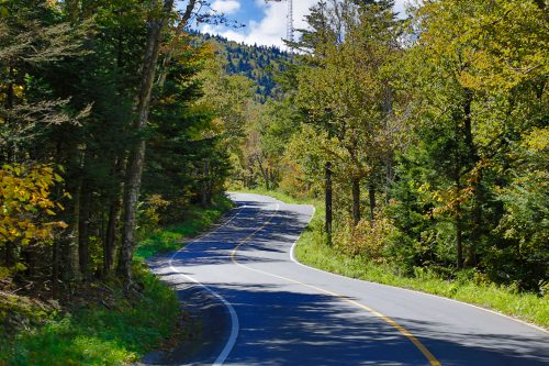 A winding road surrounded by lush green trees and a mountainous backdrop under a clear blue sky.