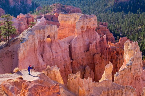 A person stands on a rocky ledge overlooking colorful hoodoos and a forested canyon in a national park.
