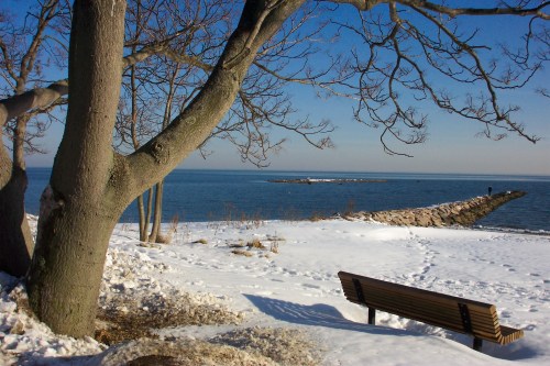 A snowy shoreline with a bench, a tree, and a rocky jetty extending into a calm blue lake under a clear sky.
