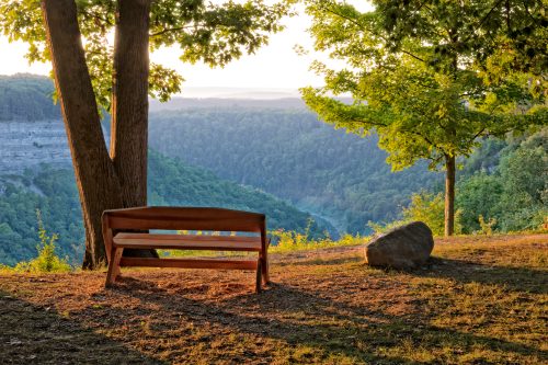 A wooden bench sits under trees, overlooking a lush valley at sunset, with a large rock nearby.