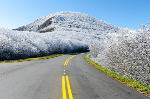 A winding road leads through frosty trees, with a snow-covered hill in the background under a clear blue sky.