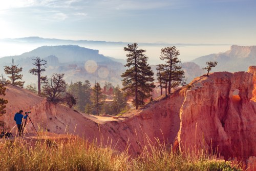 A photographer captures a scenic view of misty mountains and red rock formations at sunrise, surrounded by pine trees.