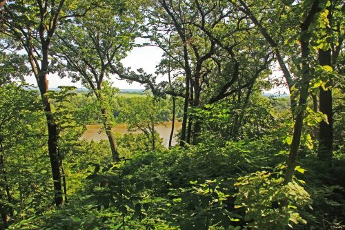 Lush green trees frame a serene river view, with sunlight filtering through the leaves on a clear day.