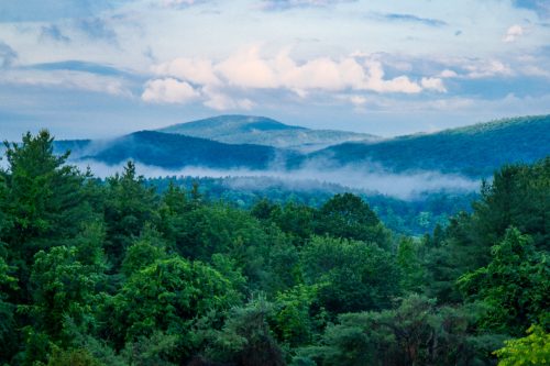 Lush green mountains and trees under a cloudy sky, with mist rising in the valleys.